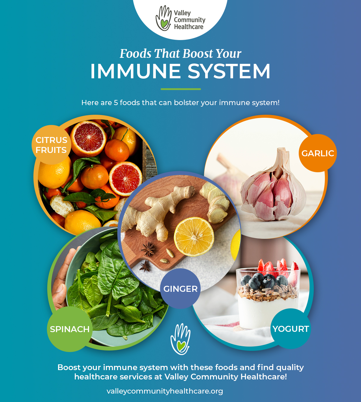 Quality Healthcare Services 4 Foods That Boost Immunity